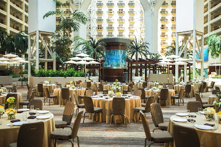 Orlando's Magical Dining Vacation Package 2025
